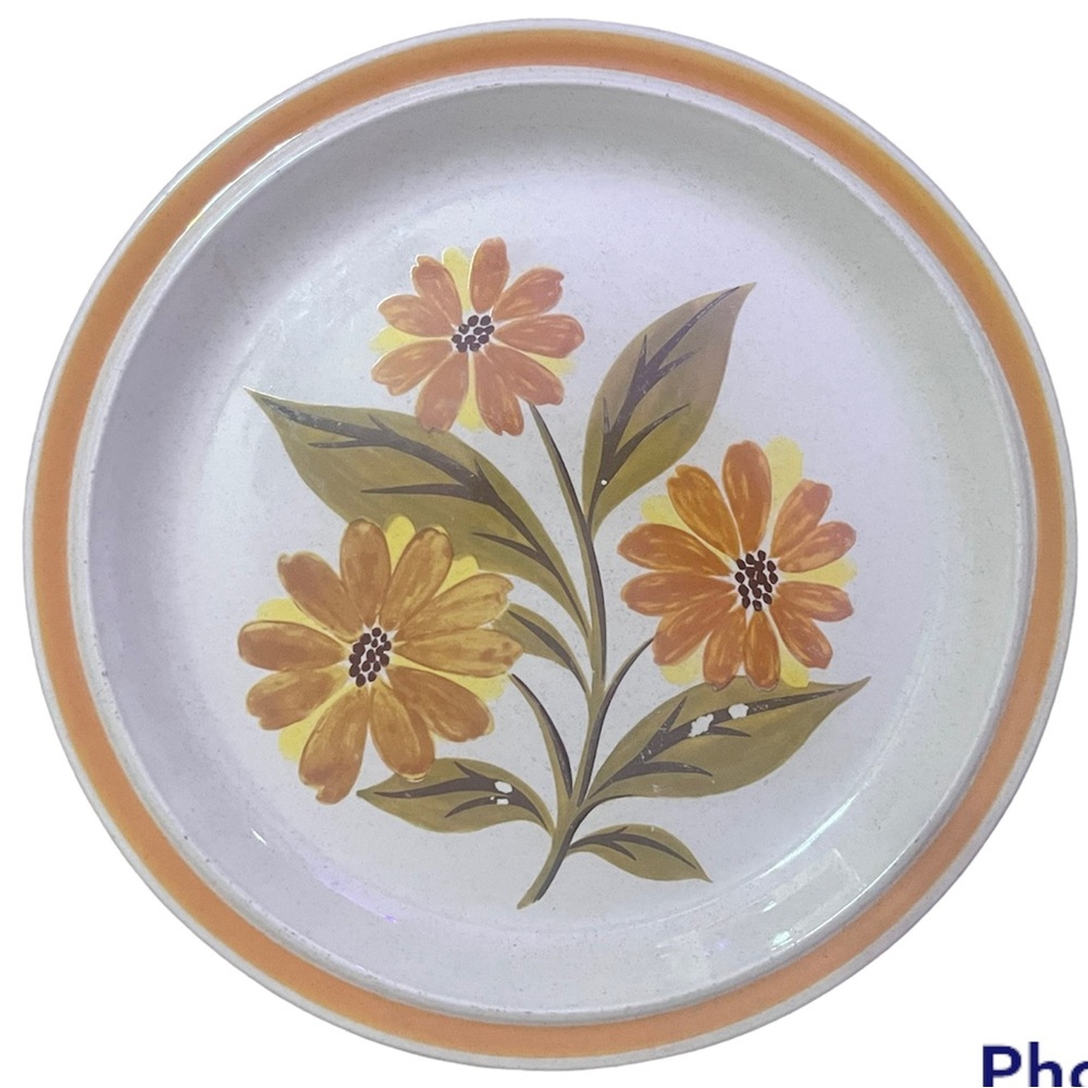 1970s plate